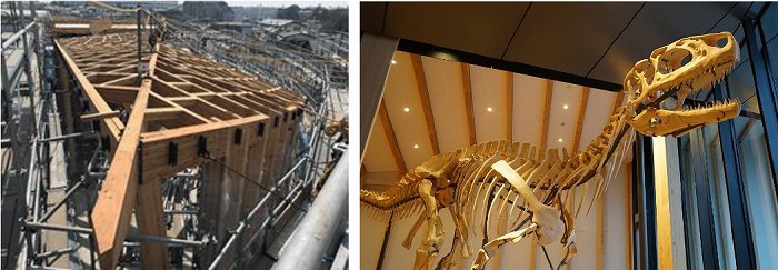 　大規模建築部材を部分的に加工　　　　　　恐竜骨格模型
　Ⓒ前田建設工業　　　　　　　　　　　　　Ⓒ前田建設工業