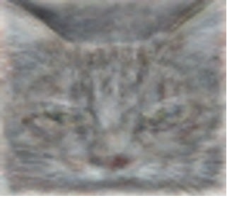 　　　　　　　　　　　Youtubeの中の「猫」を認識するニューラルネット
　　　　　　　　　　　ワーク。「良い建築」は認識できるか。
　　　　　　　　　　　※上記の画像、キャプションをクリックすると画像
　　　　　　　　　　　　の出典元のGoogle Official Blogへリンクします。