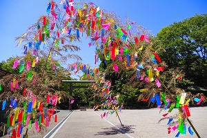 ダミー画像