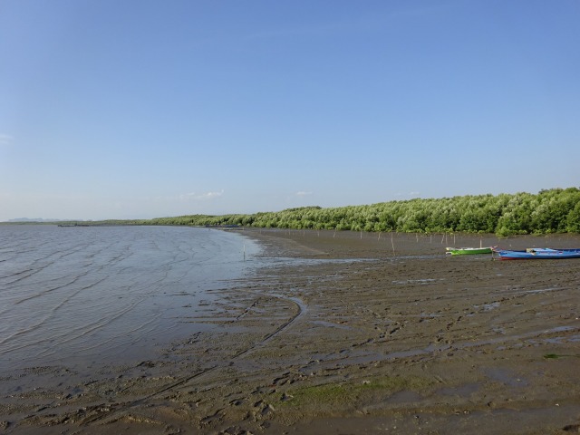 　干潟が続く海岸線のマングローブの向こうに水上の村がある