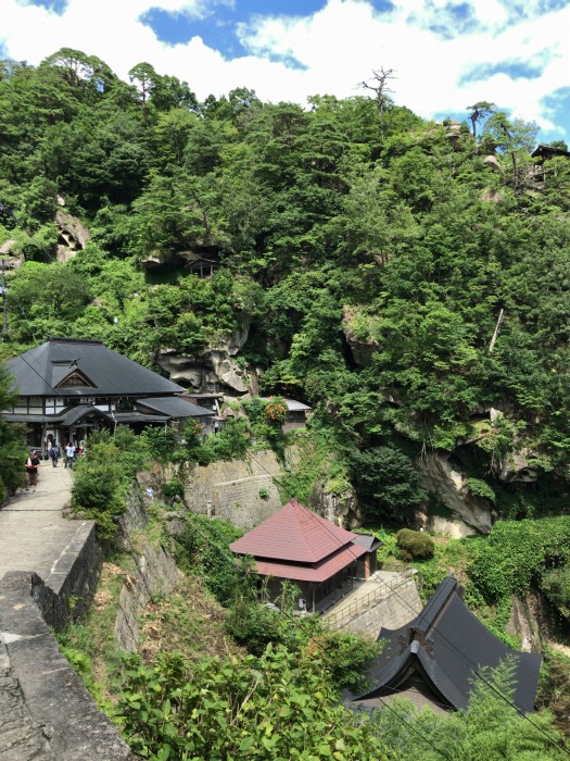 考える建物と蝉の声　　　　　＜丹野貴一郎氏＞