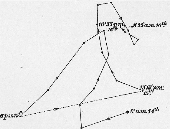 　　ダーウィンがトレースした植物の回旋転運動
　　©'The Power of Movement in Plants', Charles Darwin, 1880