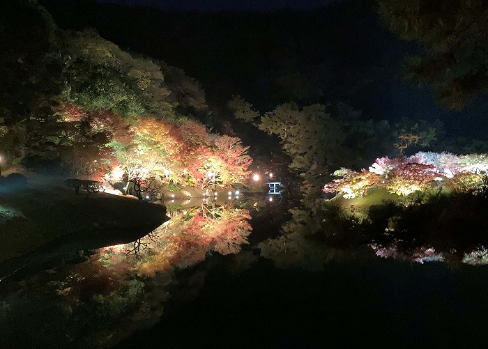 　栗林公園の紅葉ライトアップ②